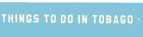 THINGS TO DO IN TOBAGO