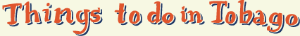 Things to do in Tobago